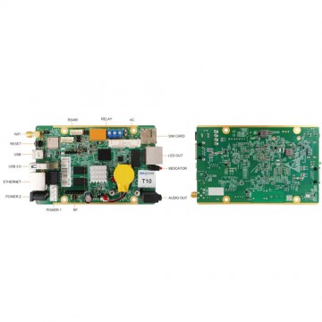 Street Wear Letter Basic T Shirt